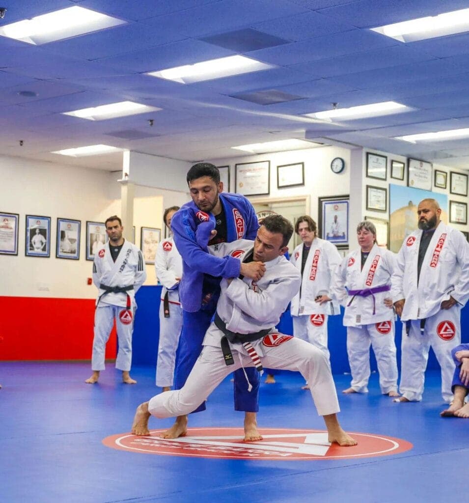 Main image of Gracie Barra Naperville