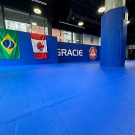 Main image of Gracie Barra Stuart