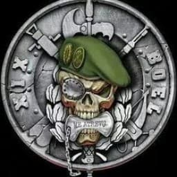 Grappling Vidin logo