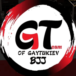 GT TEAM logo