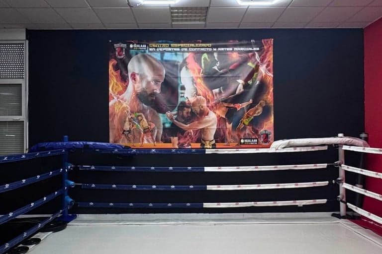 Main image of Gym Team Alves - Gimnasio boxeo bjj kickboxing taekwondo en Zaragoza