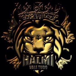 Halmi Vale Tudo logo