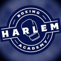 Harlembjj logo