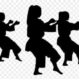 Heathers Karate Shop logo