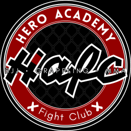 Hero Academy - Fight Club logo