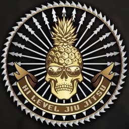 HI-Level Jiu Jitsu logo