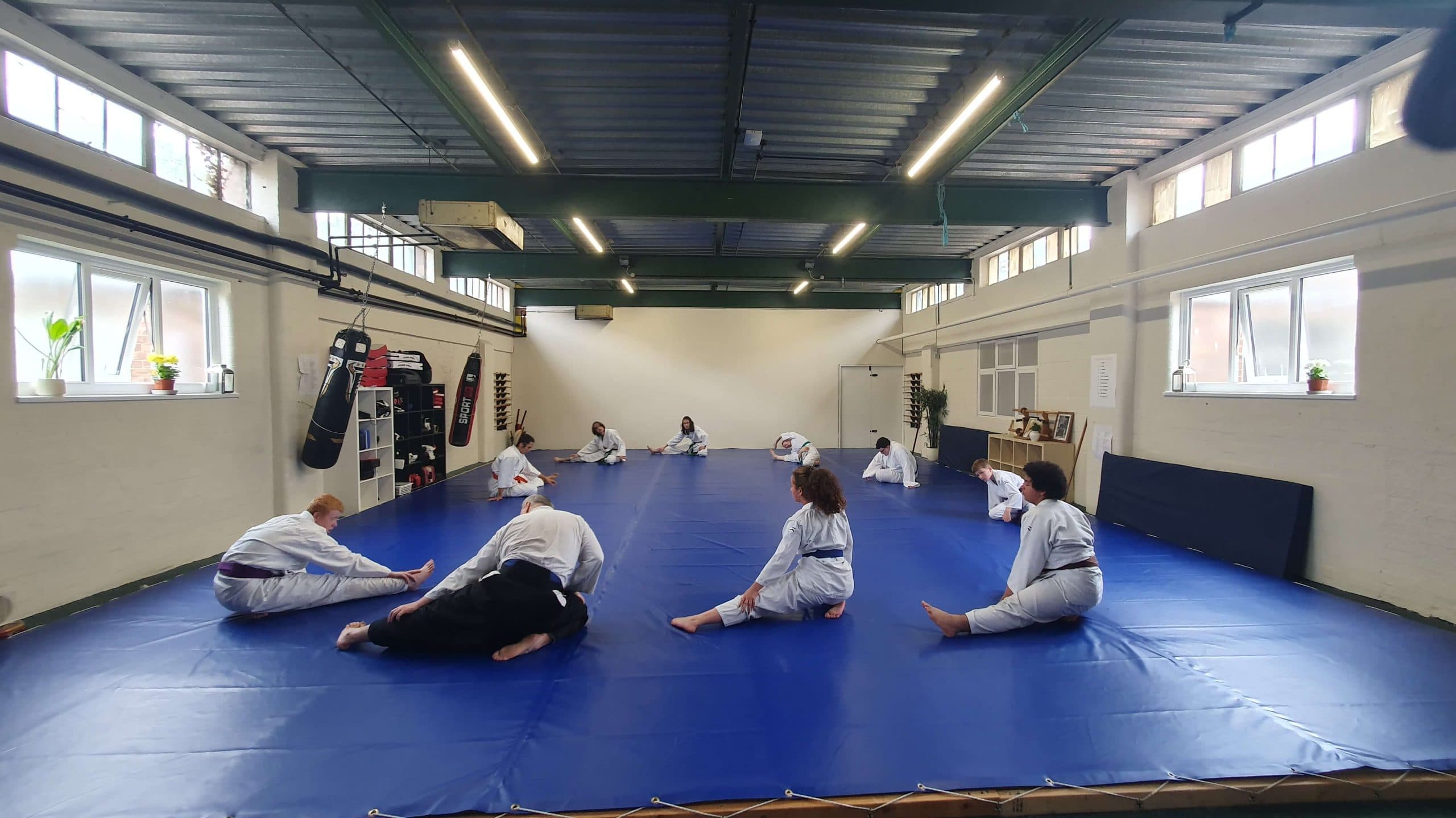 Hizashikan Coventry Aikido Club logo