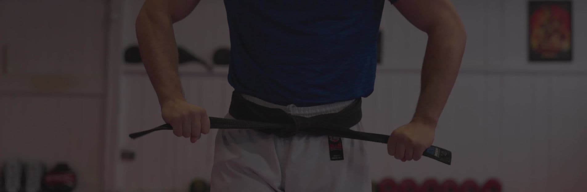 Holme Valley Martial Arts Academy logo