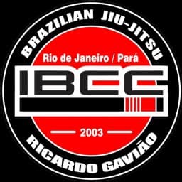 IBCC-PA logo