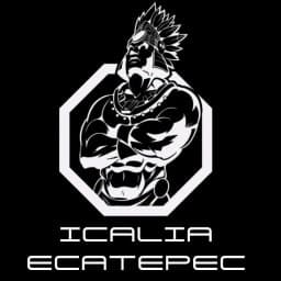ICALIA ECATEPEC logo