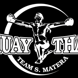 Il tempio delle arti marziali team Matera logo