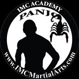 IMC ACADEMY logo