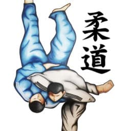 Innisfail Judo Club logo