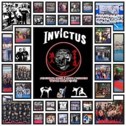 Invictus Artes Marciales Mixtas logo