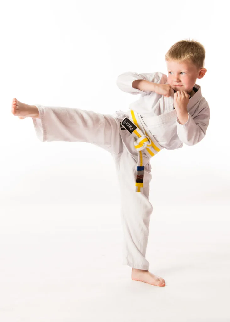 Main image of Invictus Martial Arts