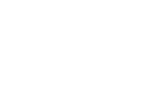 ippo club logo