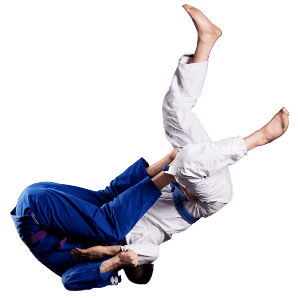 Ippon Artes Marciales logo
