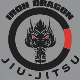 Iron Dragon Martial Arts logo