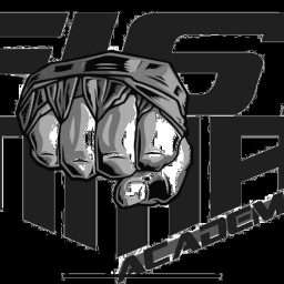 Iron Fist MMA Kimberley logo