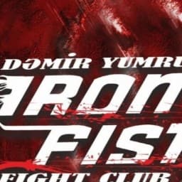 IronFist logo