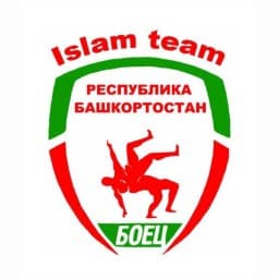 ISLAM TEAM logo