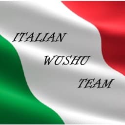 IWT - Italian Wushu Team logo