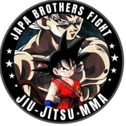 Japa brothers fight logo