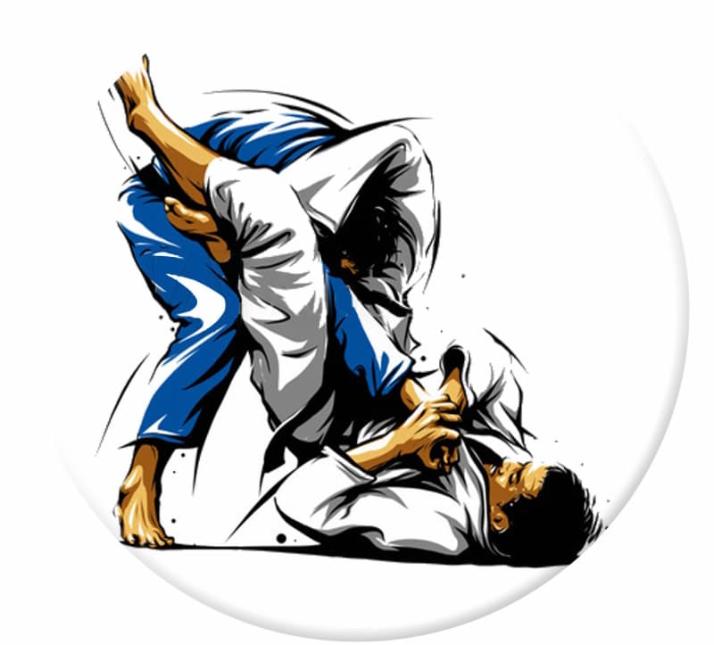 Main image of Jiu Jitsu Peak Saint Loup