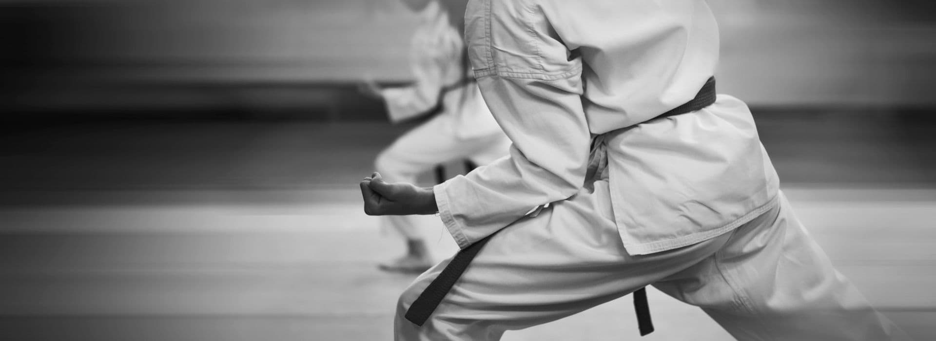 Main image of Jiu-Jitsu Syndicate