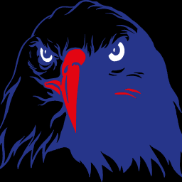 Jiu Jitsu Team America logo