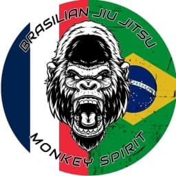 JJB Monkey Spirit logo