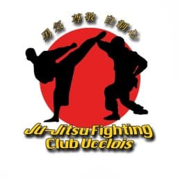 Ju jitsu ucclois académie theam devleminckx chris logo
