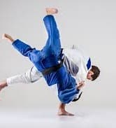 Main image of Judo Bali