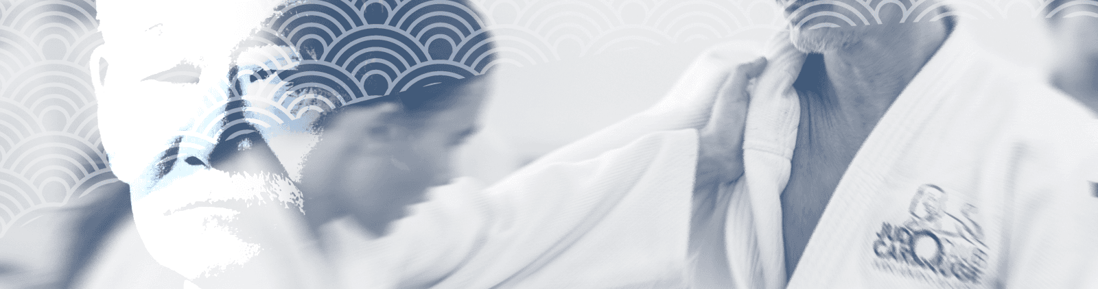 Main image of Judo Club Carouge