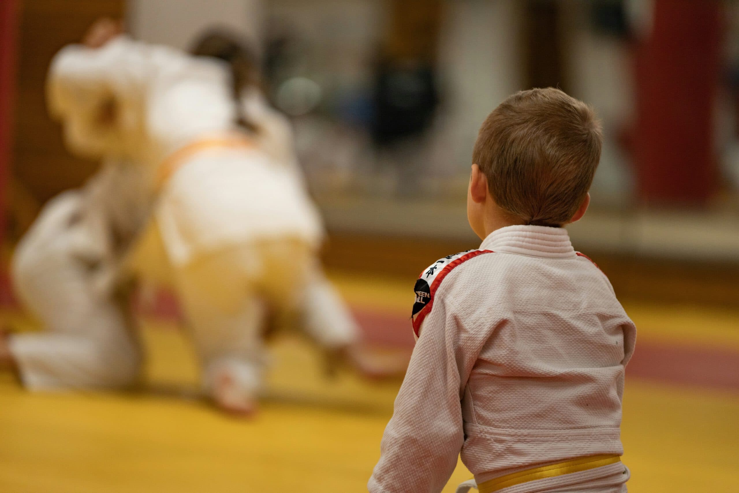 Judo Grappling Graz logo