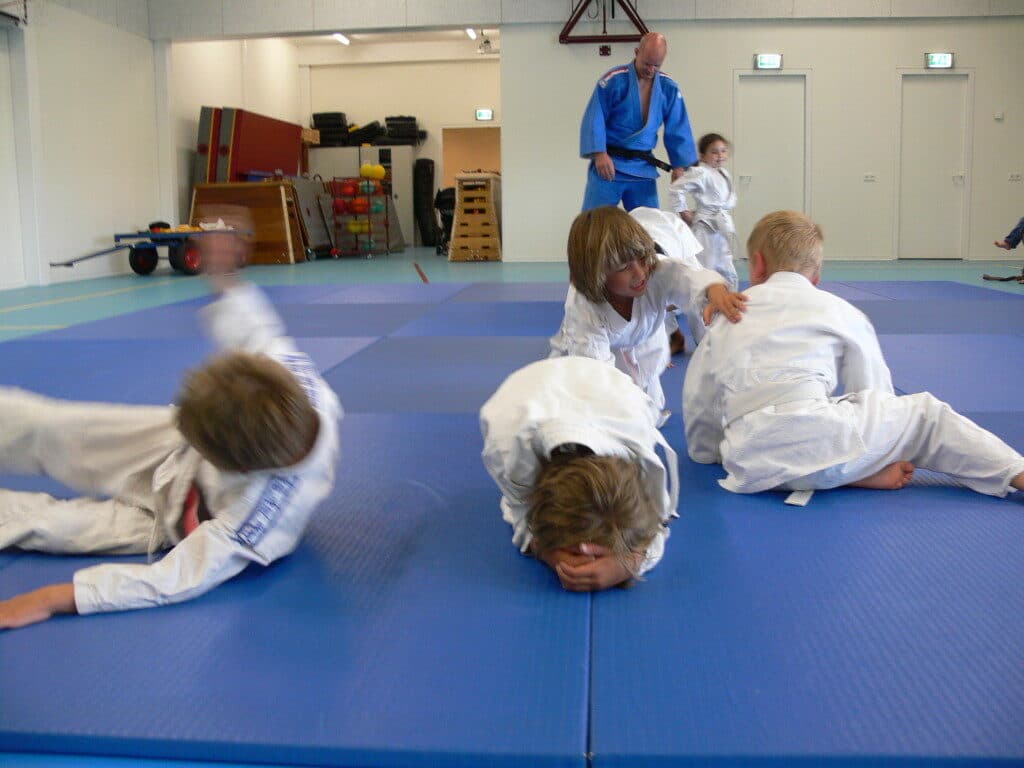 Main image of Judo-iwa