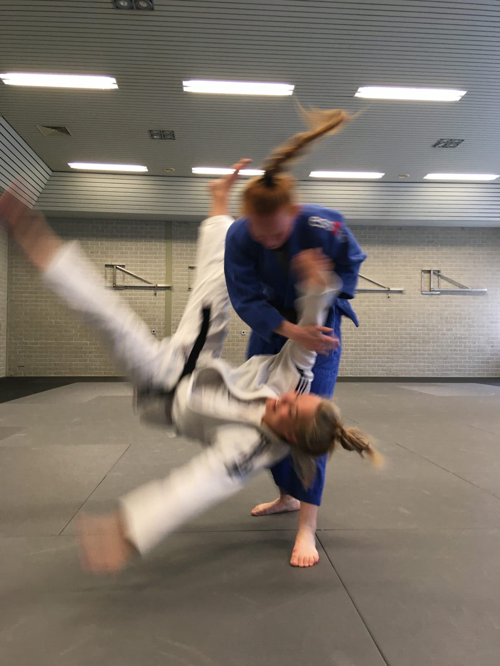 Main image of Judo Ryu Mackaay 🥋