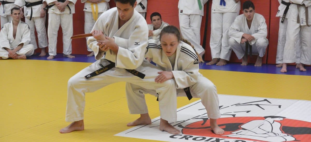 Main image of Judo Toulouse Croix Daurade