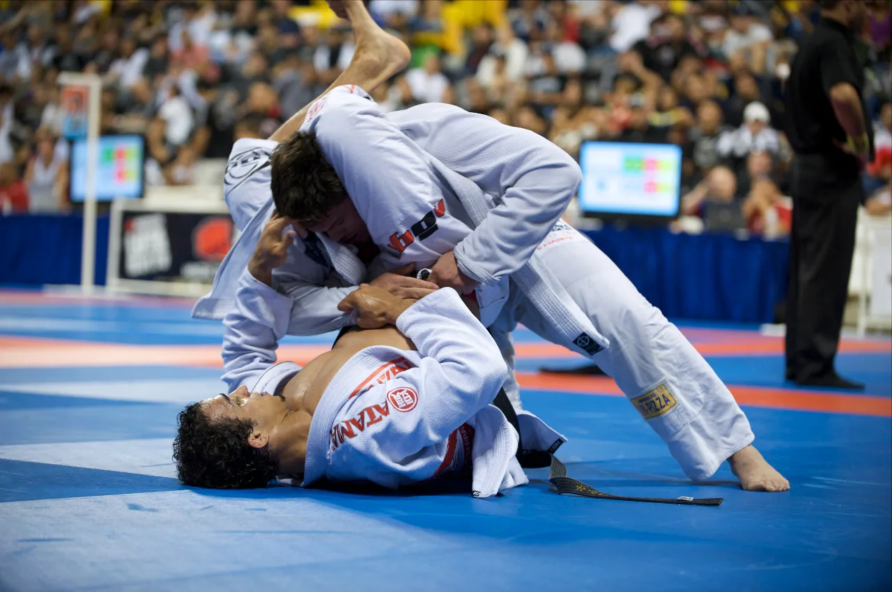 Main image of Judo Vereniging Den Haag Shi-Sei Sport
