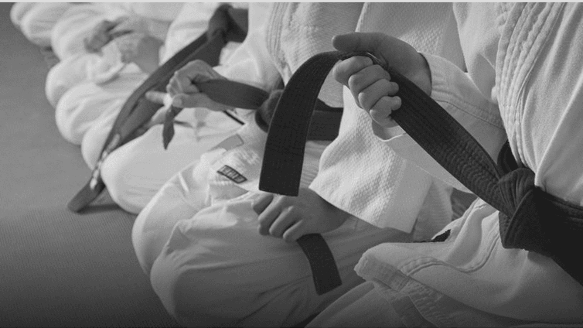 Judoclub Bujin logo