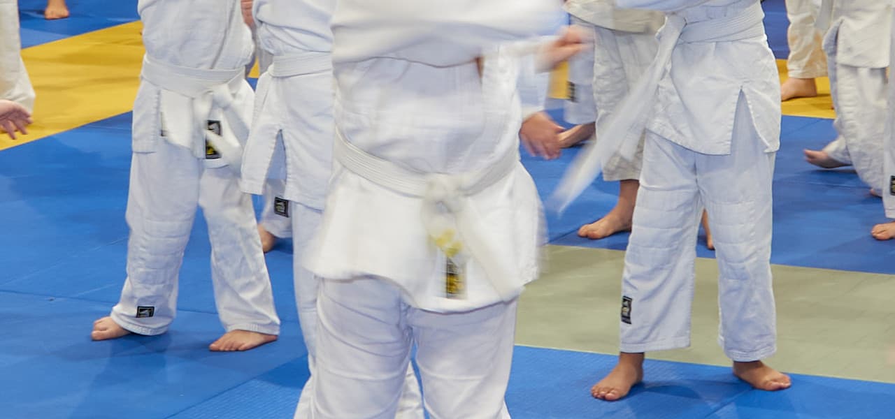 Main image of Judoclub Goshin Vzw
