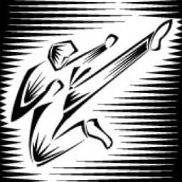 Jue's Taekwon-Do - San Ramon logo
