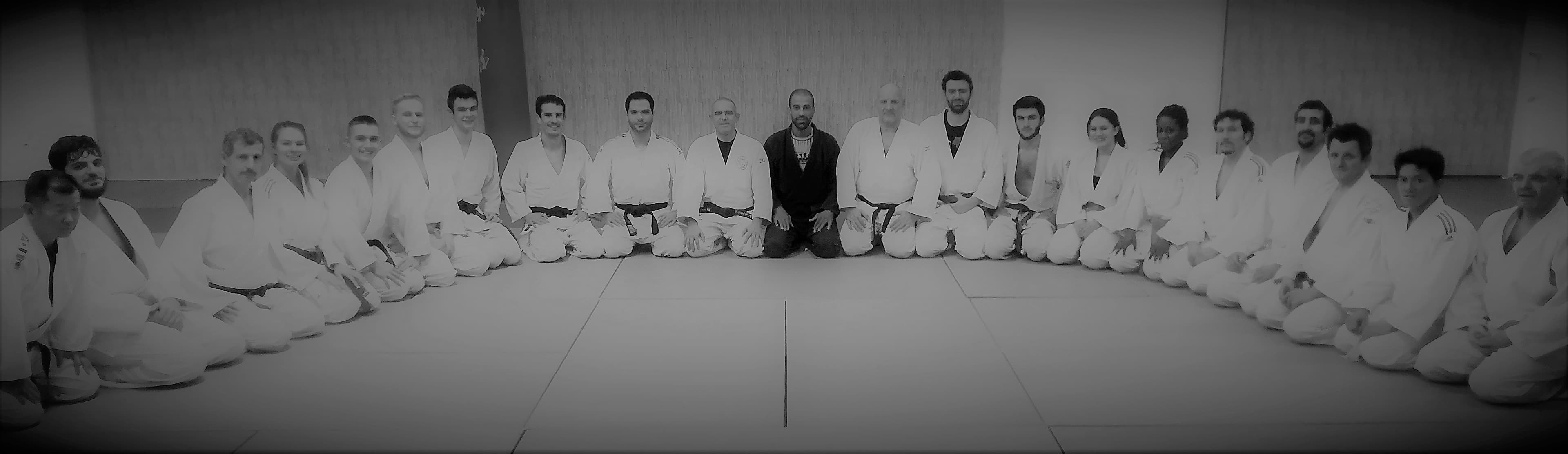 Jujitsu Montpellier logo
