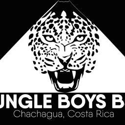 Jungle Boys BJJ logo
