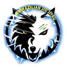 JZ BRAZILIAN JIU JITSU logo