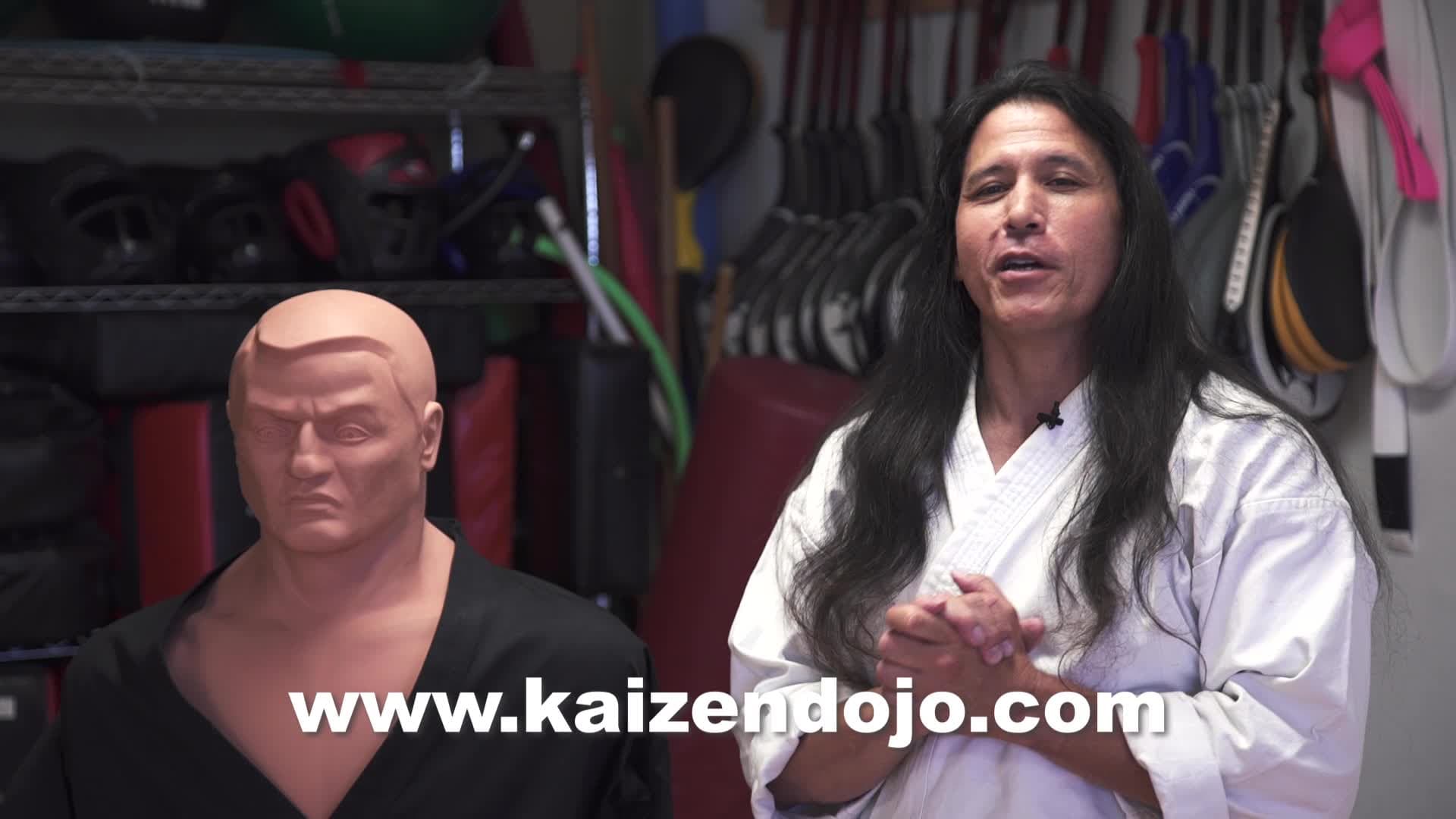 Main image of Kaizen Dojo