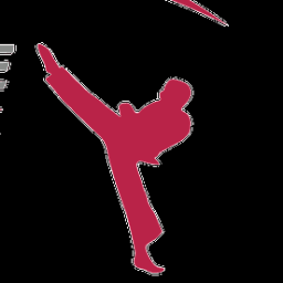 Kampfsportschule SAN-TI Darmstadt logo
