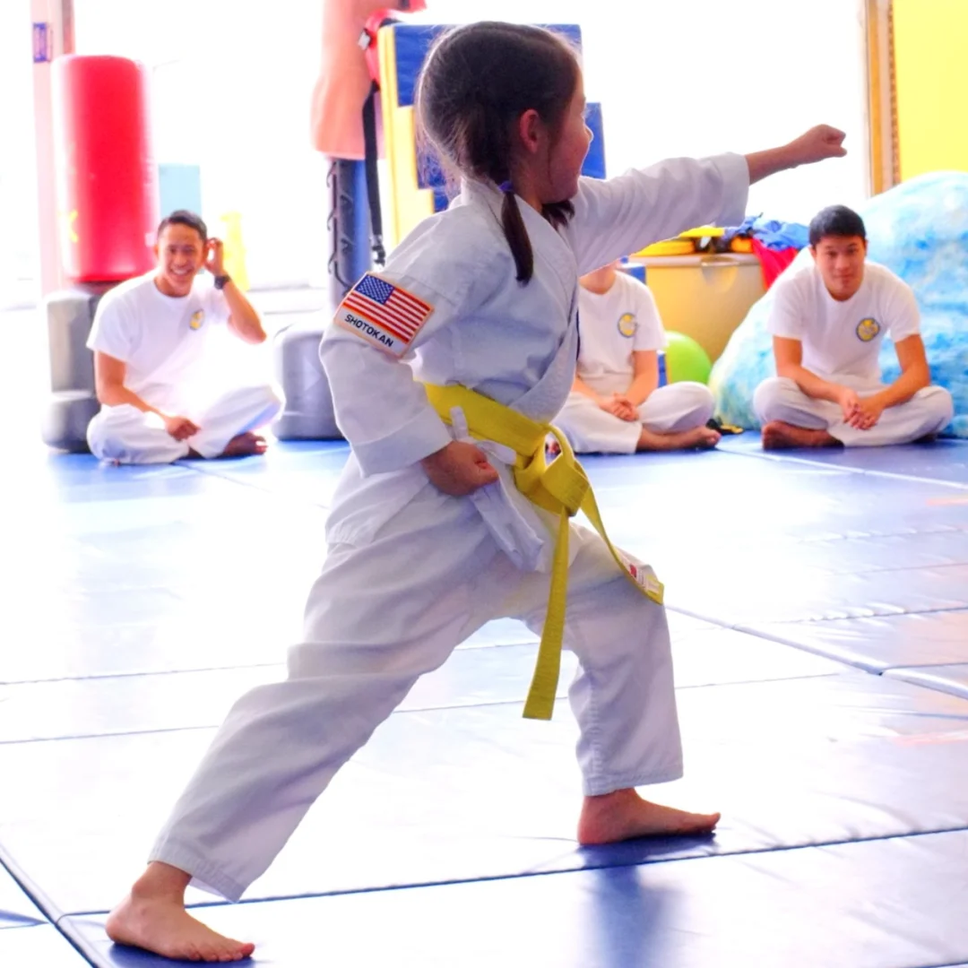 Main image of Karate For All