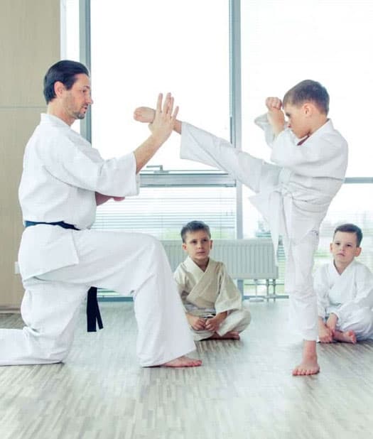 Main image of Karate Kid Martial Arts
