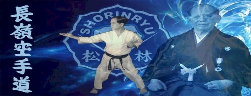 Main image of Karate Sunnyvale